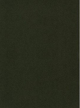 ŽAMET ELEGANCE,GOZDNO ZELENA