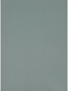 ŽAMET ELEGANCE PISTACIJA