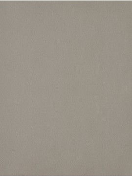 ŽAMET ELEGANCE,KAŠA