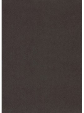 ŽAMET ELEGANCE,MEDVEDJA