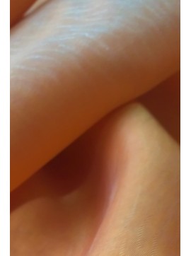 VOAL,TANČICA,PAJČOLAN,ORANŽEN