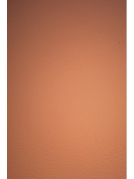 UMETNO USNJE,SKAJ,KAMELJA...