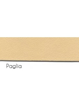 VIGOR PAGLIA