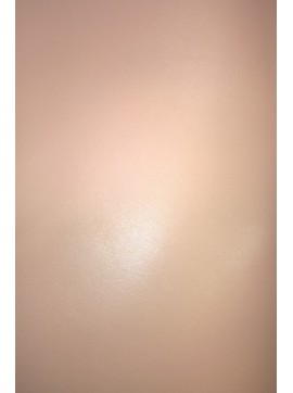 UMETNO USNJE-SKAJ,BINCA 307