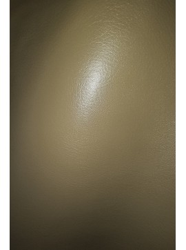 UMETNO USNJE-SKAJ,BINCA 309